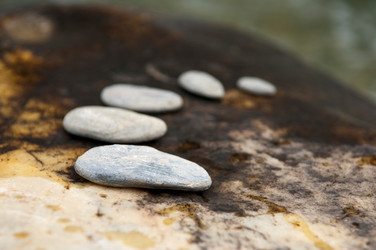 Similar image 7977856