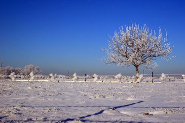 Similar image 7977857