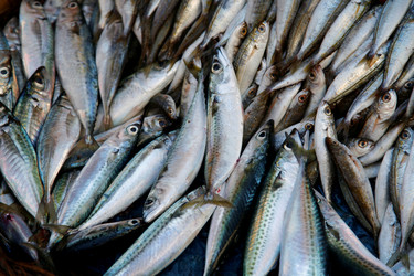 Similar image 7977865