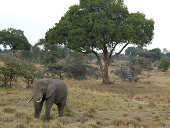 Similar image 7977870