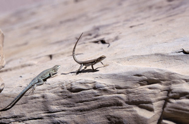 Similar image 7977895