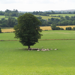 Similar image 7977910