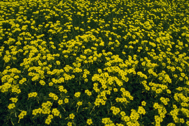 Similar image 7977911