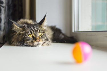 Similar image 7977992