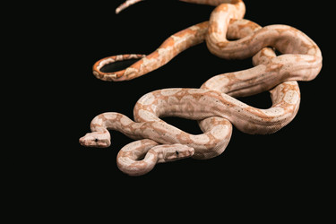 Similar image 7977998