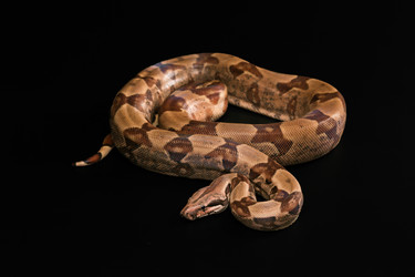 Similar image 7978017