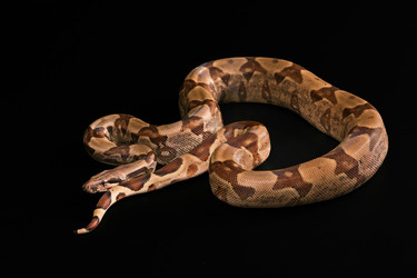 Similar image 7978022