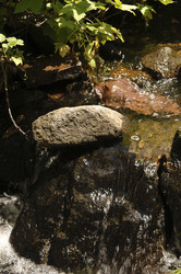 Similar image 7978037