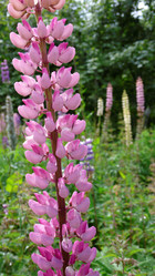 Similar image 7978039