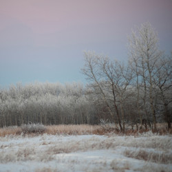 Similar image 7978044