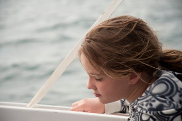 Similar image 7978045