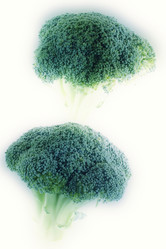 Similar image 7978048