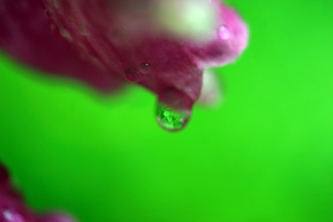 Similar image 7978050