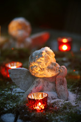 Similar image 7978053