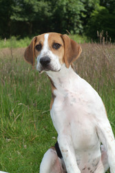 Similar image 7978055