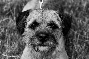 Similar image 7978059