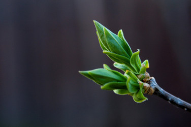 Similar image 7978063