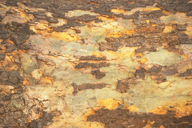 Similar image 7978078