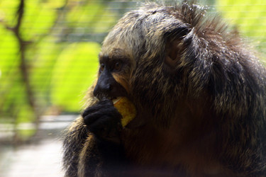 Similar image 7978086