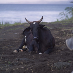 Similar image 7978091