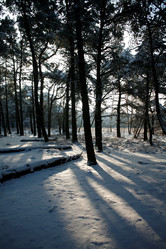 Similar image 7978099