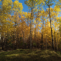 Similar image 7978100