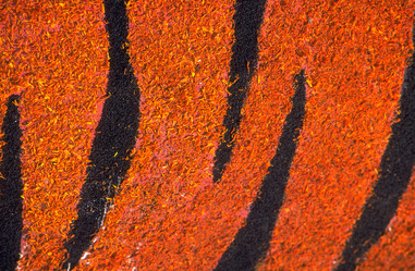 Similar image 7978104