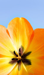 Similar image 7978160