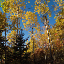 Similar image 7978169