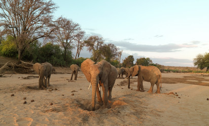 Similar image 7978176