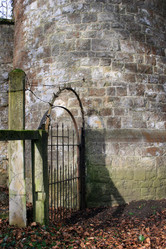 Similar image 7978182