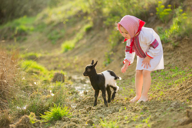 Similar image 7978222