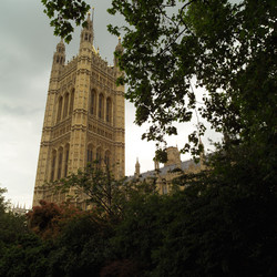 Similar image 7978248