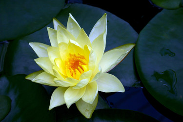 Similar image 7978249