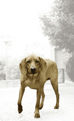 Similar image 7978255