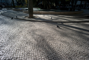 Similar image 7978257