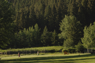 Similar image 7978258