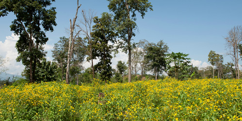 Similar image 7978259