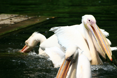 Similar image 7978262