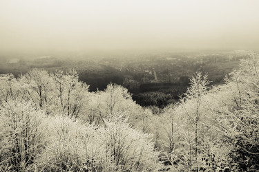 Similar image 7978267