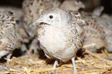 Similar image 7978278