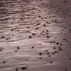 Similar image 7978279