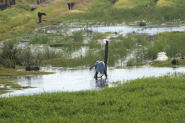 Similar image 7978280