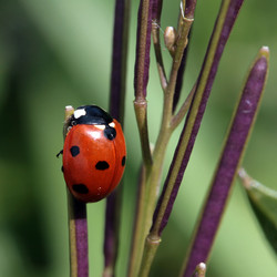 Similar image 7978286