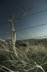 Similar image 7978287