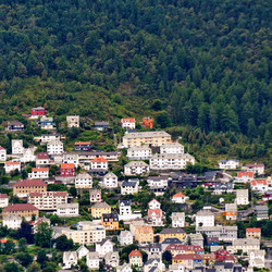 Similar image 7978288