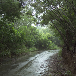 Similar image 7978289