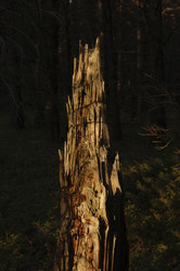 Similar image 7978291