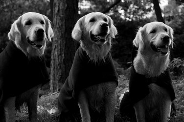 Similar image 7978292