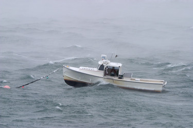 Similar image 7978293